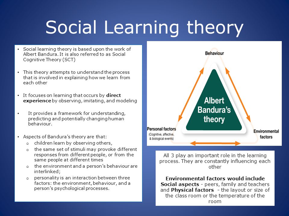 The different theories of human learning